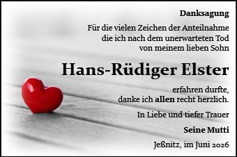 Hans-Rüdiger Elster