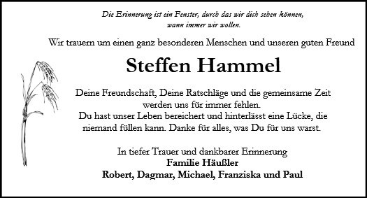 Steffen Hammel