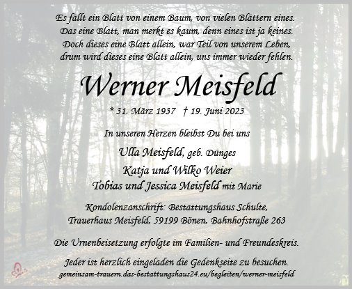 Werner Meisfeld