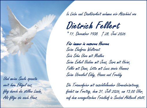 Dietrich Fellert