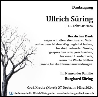 Ullrich Süring