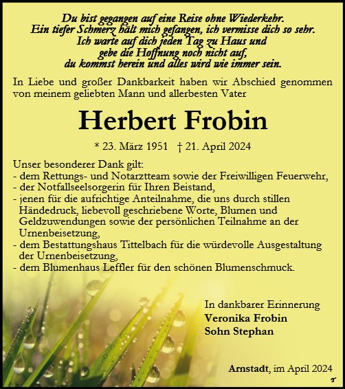 Herbert Frobin