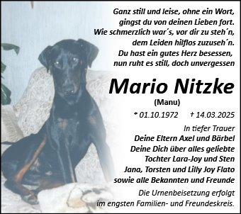 Mario Nitzke