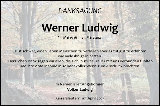 Werner Ludwig