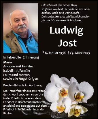 Ludwig Jost