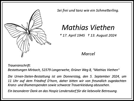 Mathias Viethen