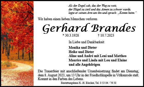 Gerhard Brandes