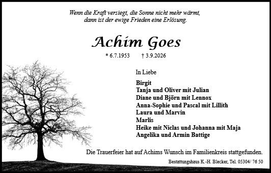 Achim Goes