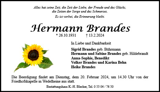 Hermann Brandes
