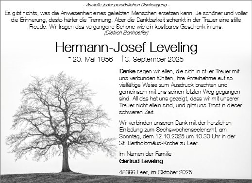 Hermann-Josef Leveling