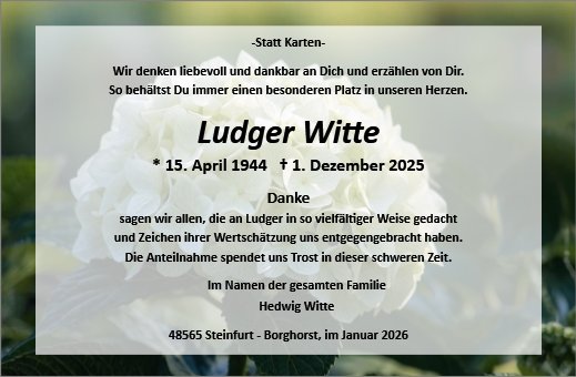Ludger Witte