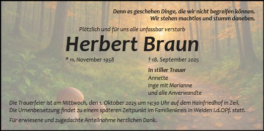 Herbert Braun