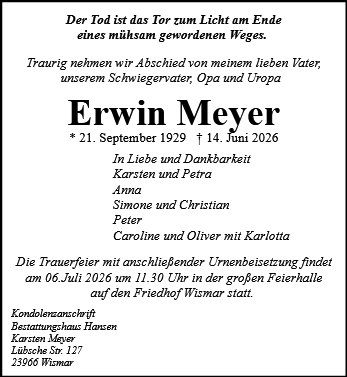 Erwin Meyer