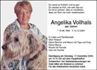Anzeige