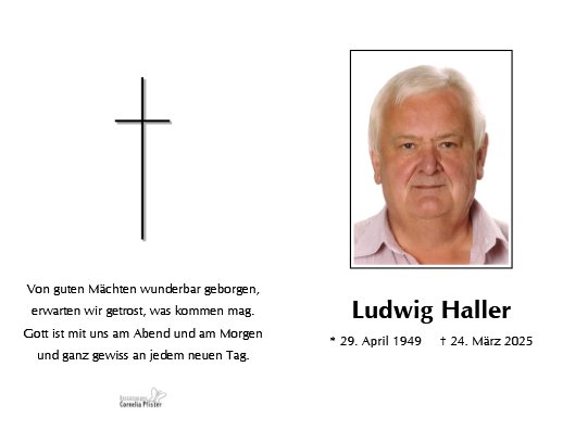 Ludwig Haller