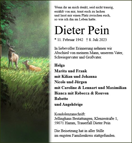 Dieter Pein