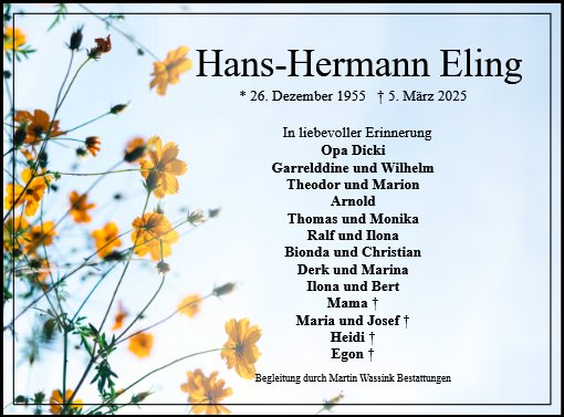 Hans-Hermann Eling
