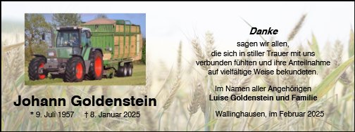 Johann Goldenstein