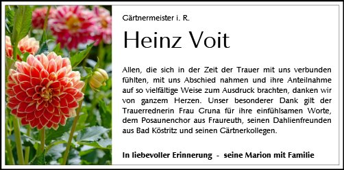 Heinz Voit