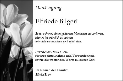 Elfriede Bilgeri