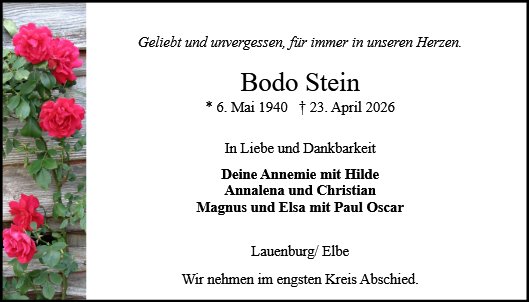 Bodo Stein