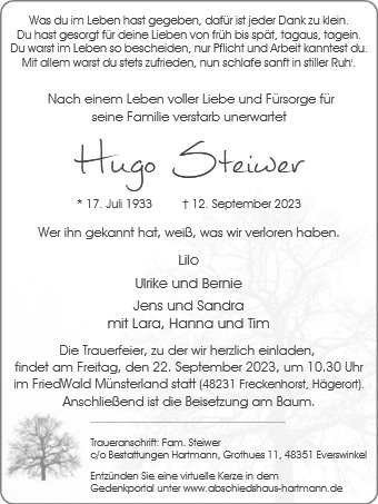 Hugo Steiwer