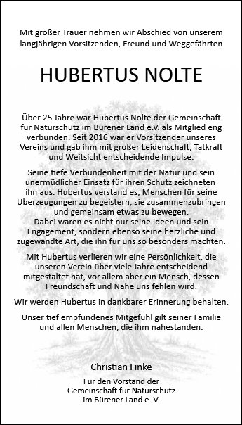 Hubertus Nolte