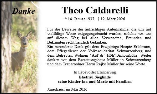 Theo Caldarelli