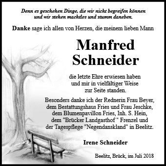 Manfred Schneider