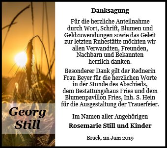 Georg Still