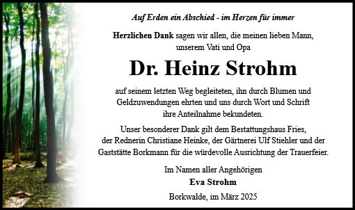Heinz Strohm