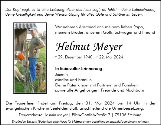 Helmut Meyer