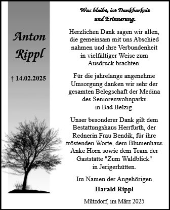 Anton Rippl