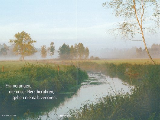 Gerhard Manegold