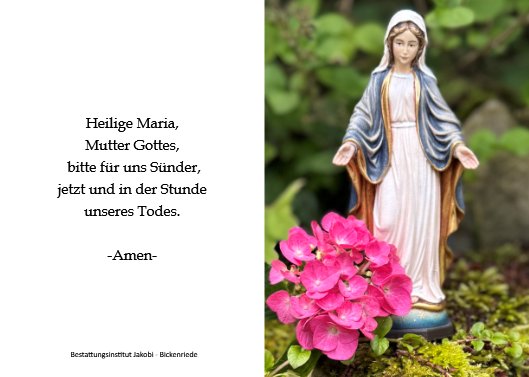 Agnes Vogt