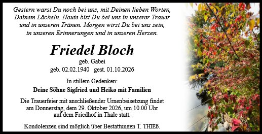 Friedel Bloch