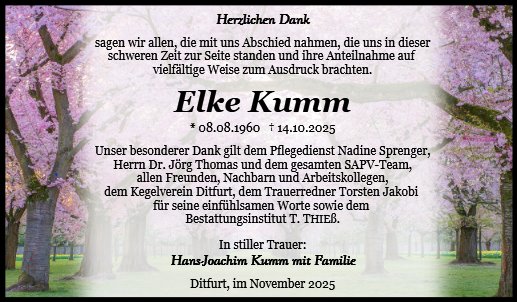 Elke Kumm