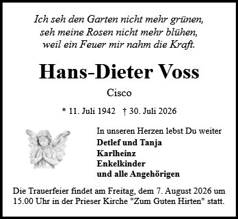 Hans-Dieter Voss
