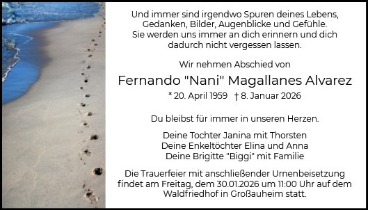 Fernando Magallanes Alvarez