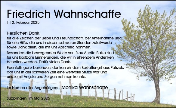 Friedrich Wahnschaffe