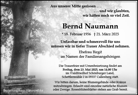 Bernd Naumann