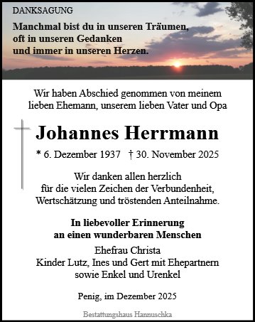 Johannes Herrmann