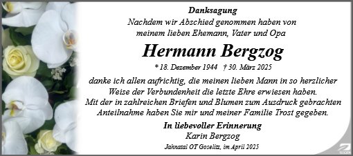 Hermann Bergzog