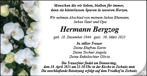 Hermann Bergzog