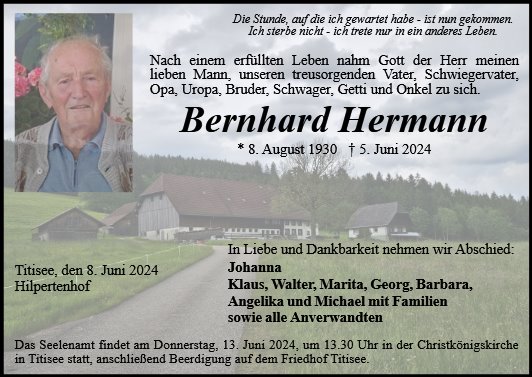 Bernhard Hermann