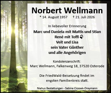 Norbert Wellmann